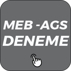 MEB AGS Deneme Kitapları